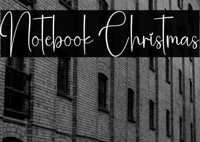 Notebook Christmas Polices examples