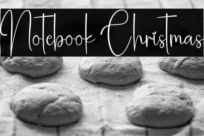 Notebook Christmas Polices examples