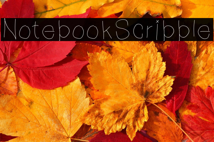 NotebookScribble Example 3