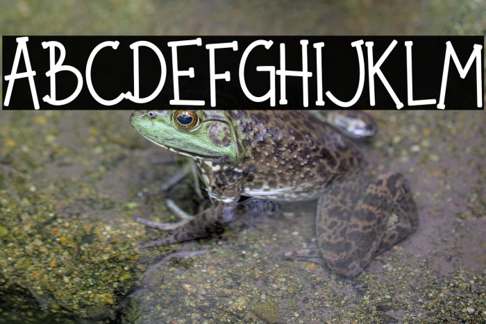 Noted Party Example 2