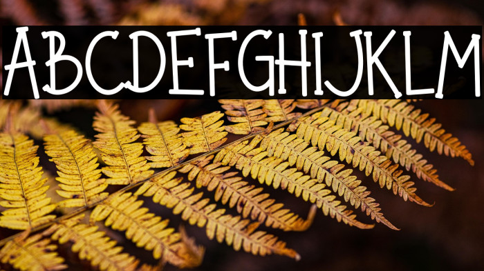 Noted Party Example 3