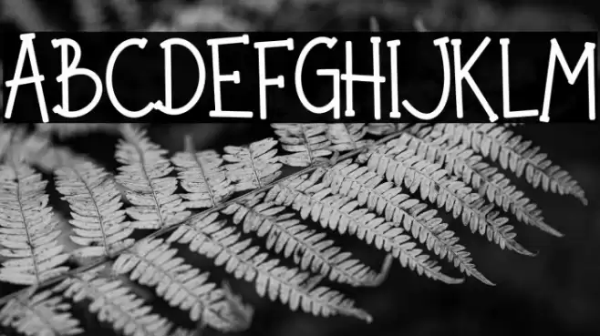 Noted Party Font examples