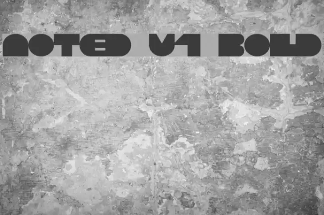 Noted V1 Bold Font examples