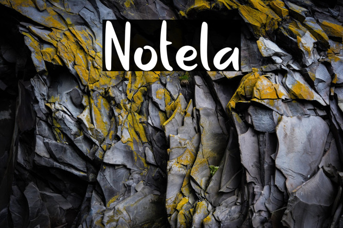Notela Example 1