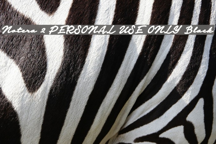 Notera 2 PERSONAL USE ONLY Black Font examples