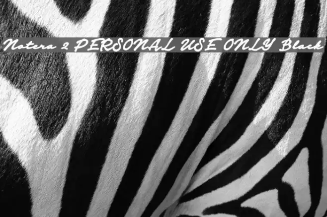Notera 2 PERSONAL USE ONLY Black Example 1