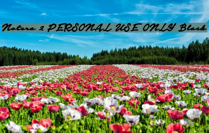 Notera 2 PERSONAL USE ONLY Black Font examples