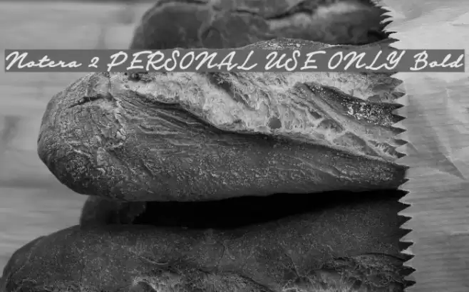 Notera 2 PERSONAL USE ONLY Bold Font examples