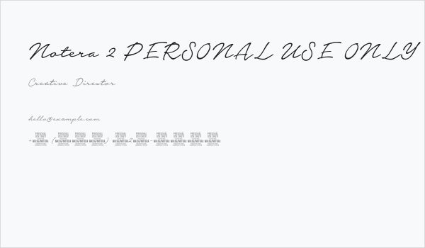 Notera 2 PERSONAL USE ONLY Light Business Card