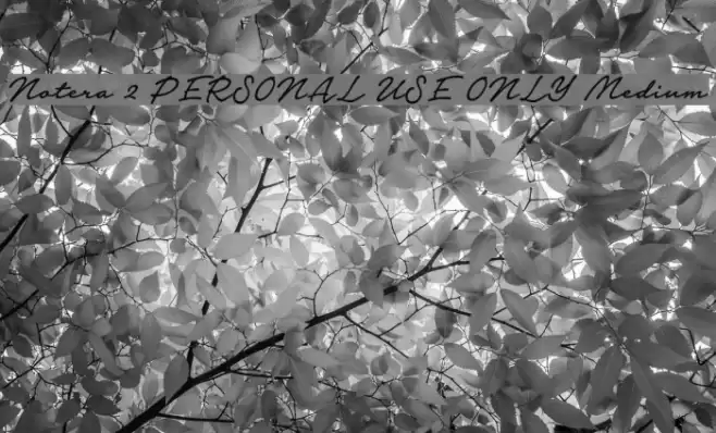 Notera 2 PERSONAL USE ONLY Medium Font examples