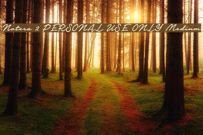Notera 2 PERSONAL USE ONLY Medium Font examples