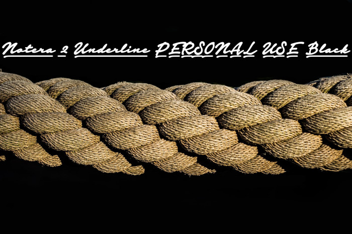 Notera 2 Underline PERSONAL USE Black Example 1