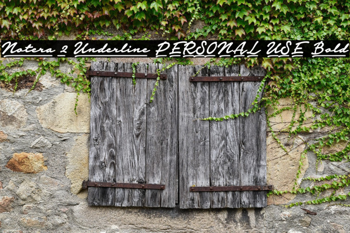 Notera 2 Underline PERSONAL USE Bold Example 1