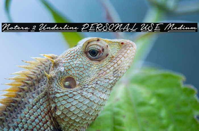 Notera 2 Underline PERSONAL USE Medium Example 1