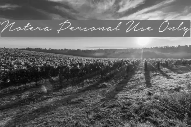 Notera Personal Use Only Font examples