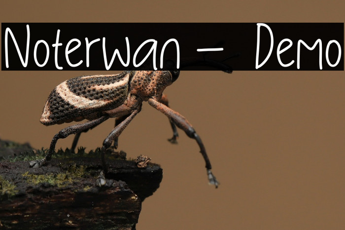 Noterwan -  Demo Example 1