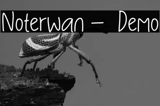Noterwan -  Demo Example 1