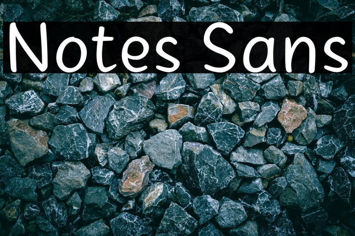 Notes Sans Example 1