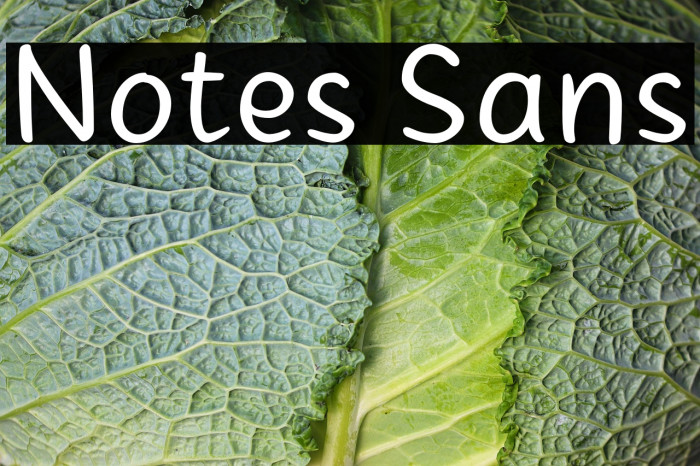 Notes Sans Example 2