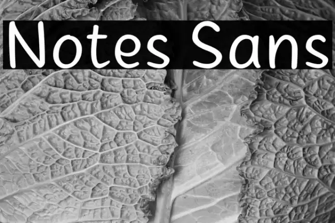 Notes Sans  examples
