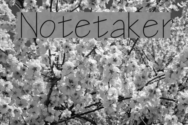 Notetaker Font examples