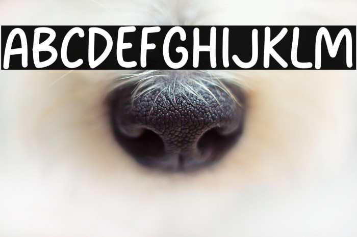 Notevela Font examples