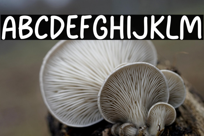 Notevela Font examples