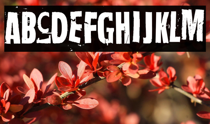 Nothing Clean Example 1