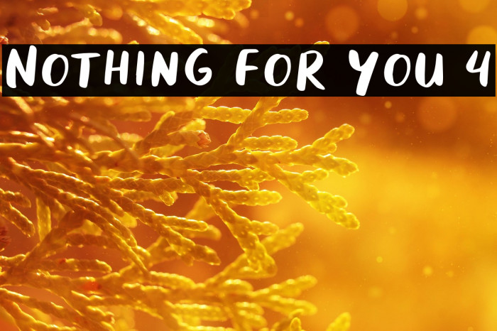 Nothing For You 4 Example 1