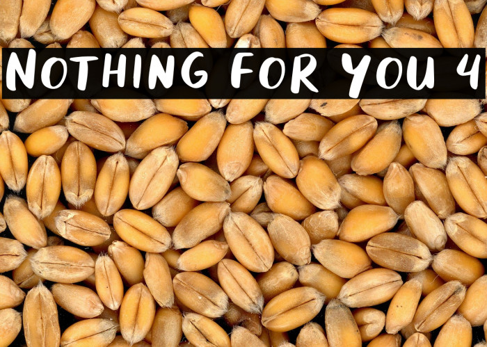 Nothing For You 4 Example 3