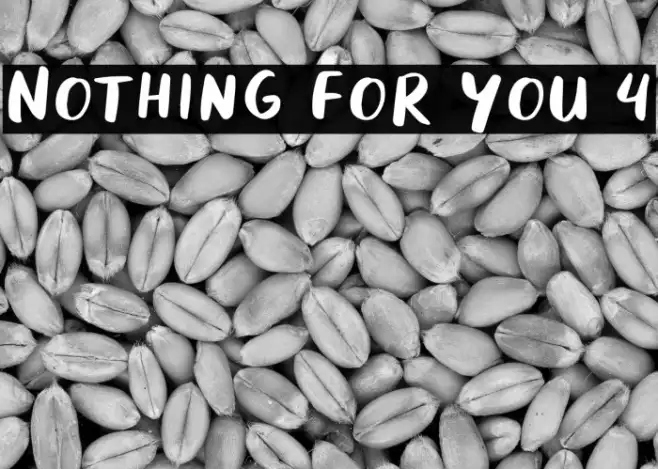 Nothing For You 4 Example 3