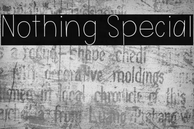 Nothing Special Example 1