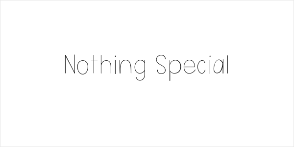 Nothing Special Logo