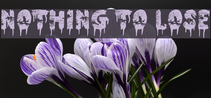 Nothing To Lose Example 2