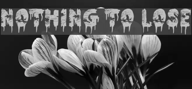 Nothing To Lose Font examples