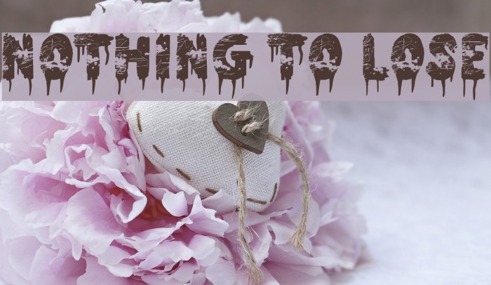 Nothing To Lose Example 3