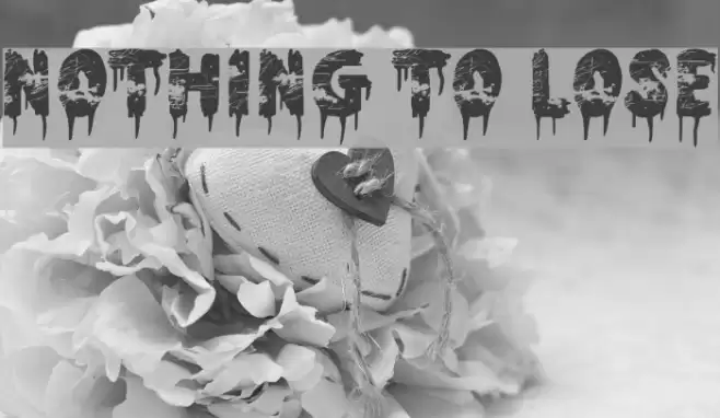 Nothing To Lose Font examples