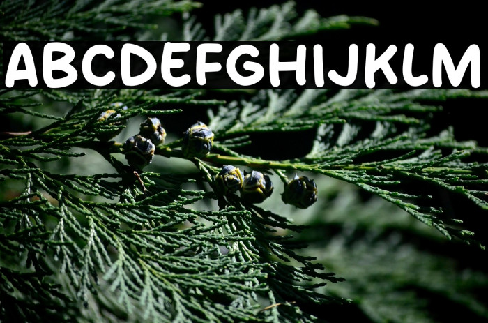 Nothing Type Example 1