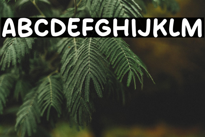 Nothing Type Example 2