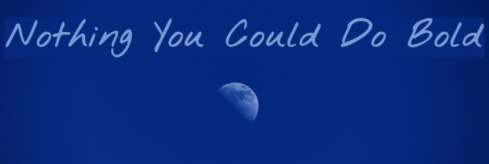 Nothing You Could Do Bold Font examples