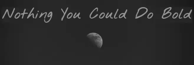 Nothing You Could Do Bold Font examples