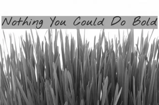 Nothing You Could Do Bold Font examples