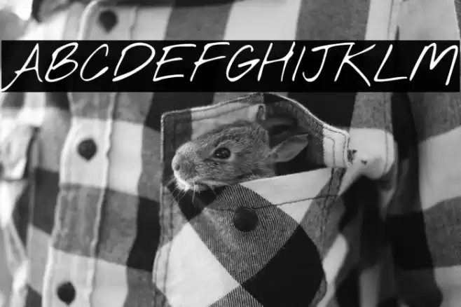 Nothing You Could Do Font examples