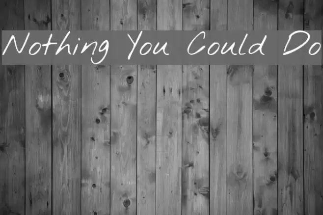 Nothing You Could Do Font examples