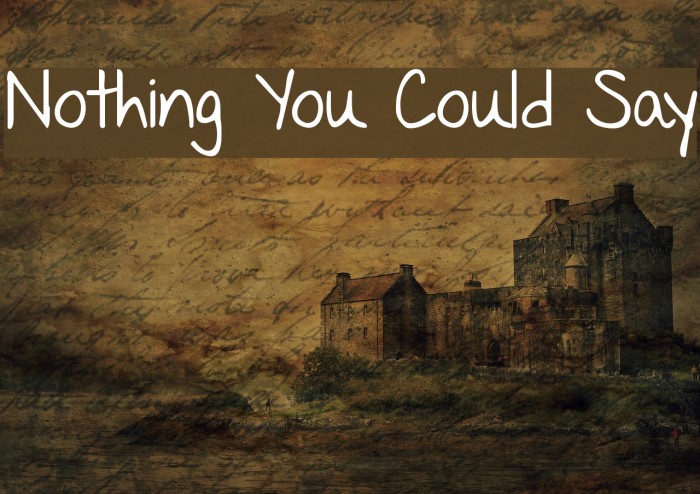 Nothing You Could Say Font examples