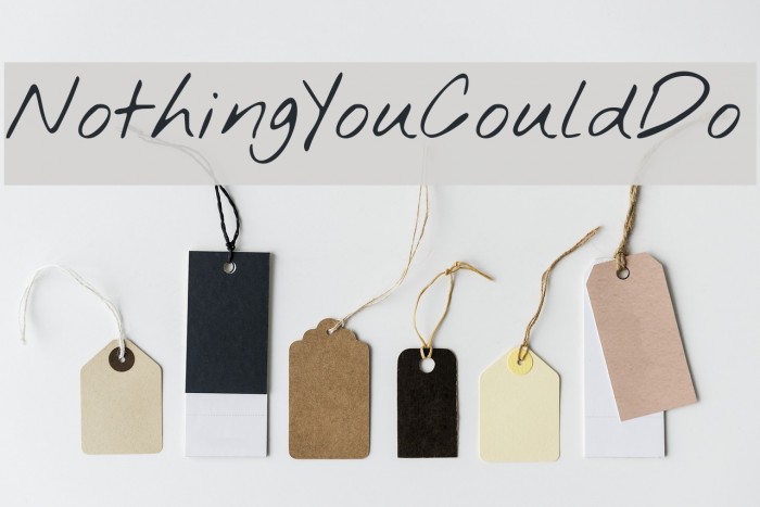 NothingYouCouldDo 字体-FFonts.net