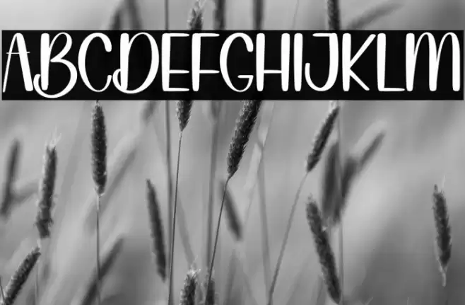 Nothing Fuentes examples