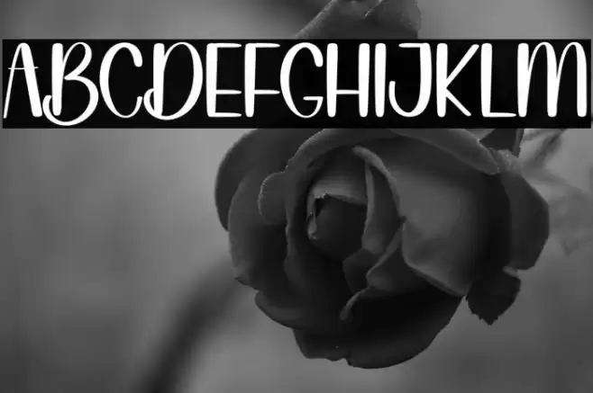 Nothing Fuentes examples