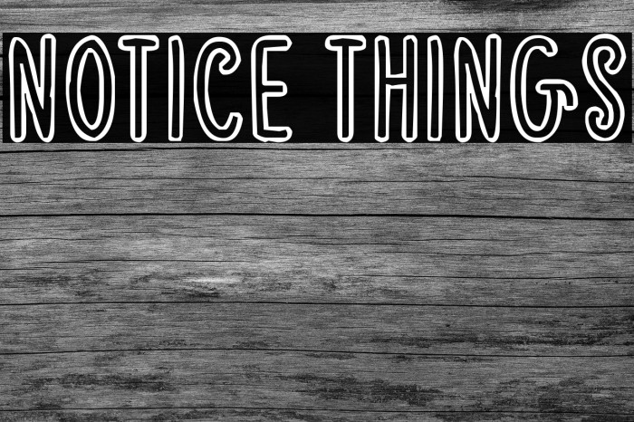 Notice Things لخطوط تنزيل examples
