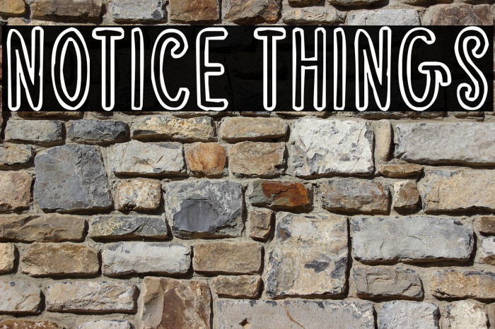 Notice Things لخطوط تنزيل examples
